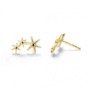 Pendientes en plata de ley Stars Gold