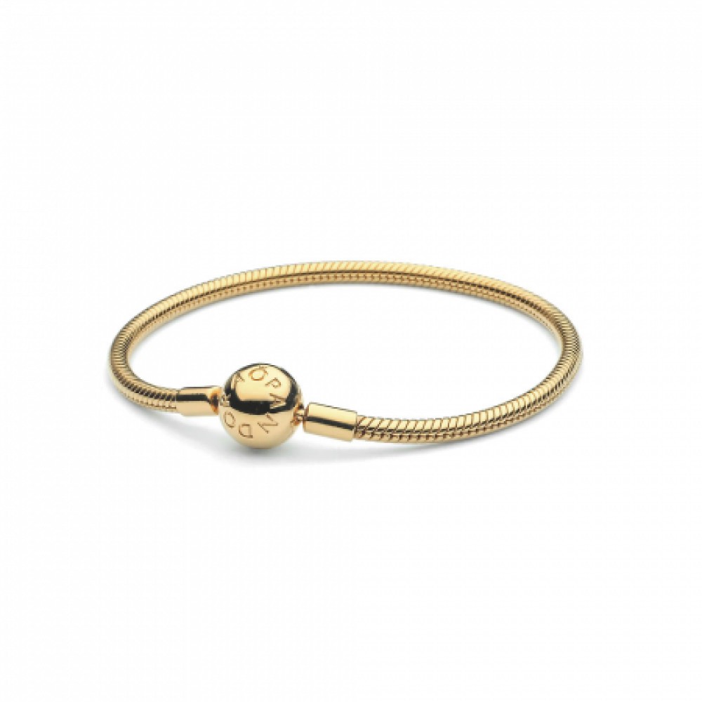 Pulsera moments en Pandora Shine