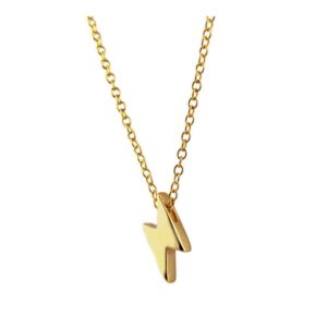 Collar en plata de ley brusk Gold