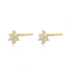 Pendientes en PLata de Ley Blume Gold