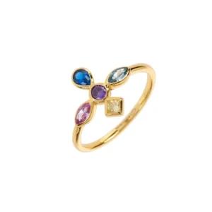 Anillos