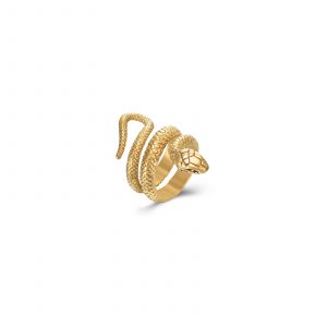 Anillo Acero Boa Gold