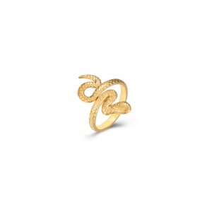 Anillo Acero Cron Gold 30mm