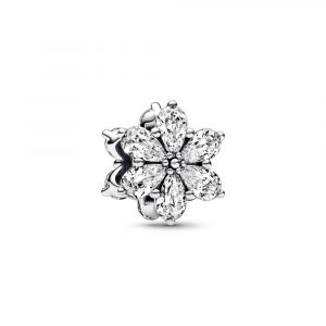 Charm Herbario Brillante 792623C01