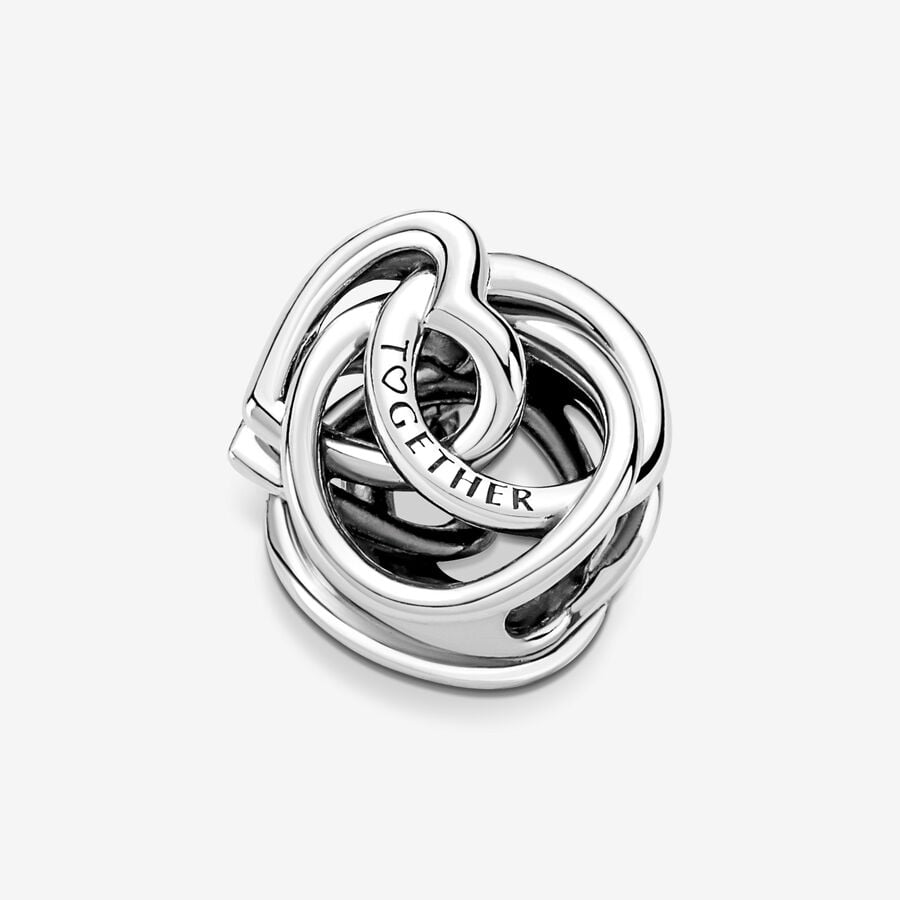 Charm Corazón Circulo Familiar Siempre 791507C00 - Imagen 2