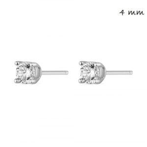 Pendientes Plata Garra 4mm