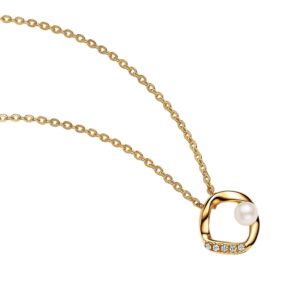 Collar Circulo Forma Orgánica 363303C01-45