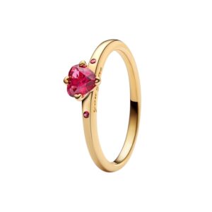 Anillo Explosión de Amor 166574C01