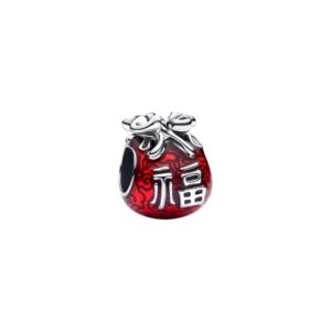 Charm Bolsa de la Suerte 793620C01