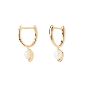 Pendientes PDPAOLA