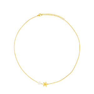 Collar Acero Dorado Estrella Mar y Concha