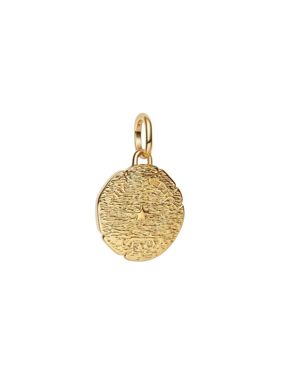 Charm Medallón León Recubrimiento en Oro de 14k 763974C01 - Imagen 2