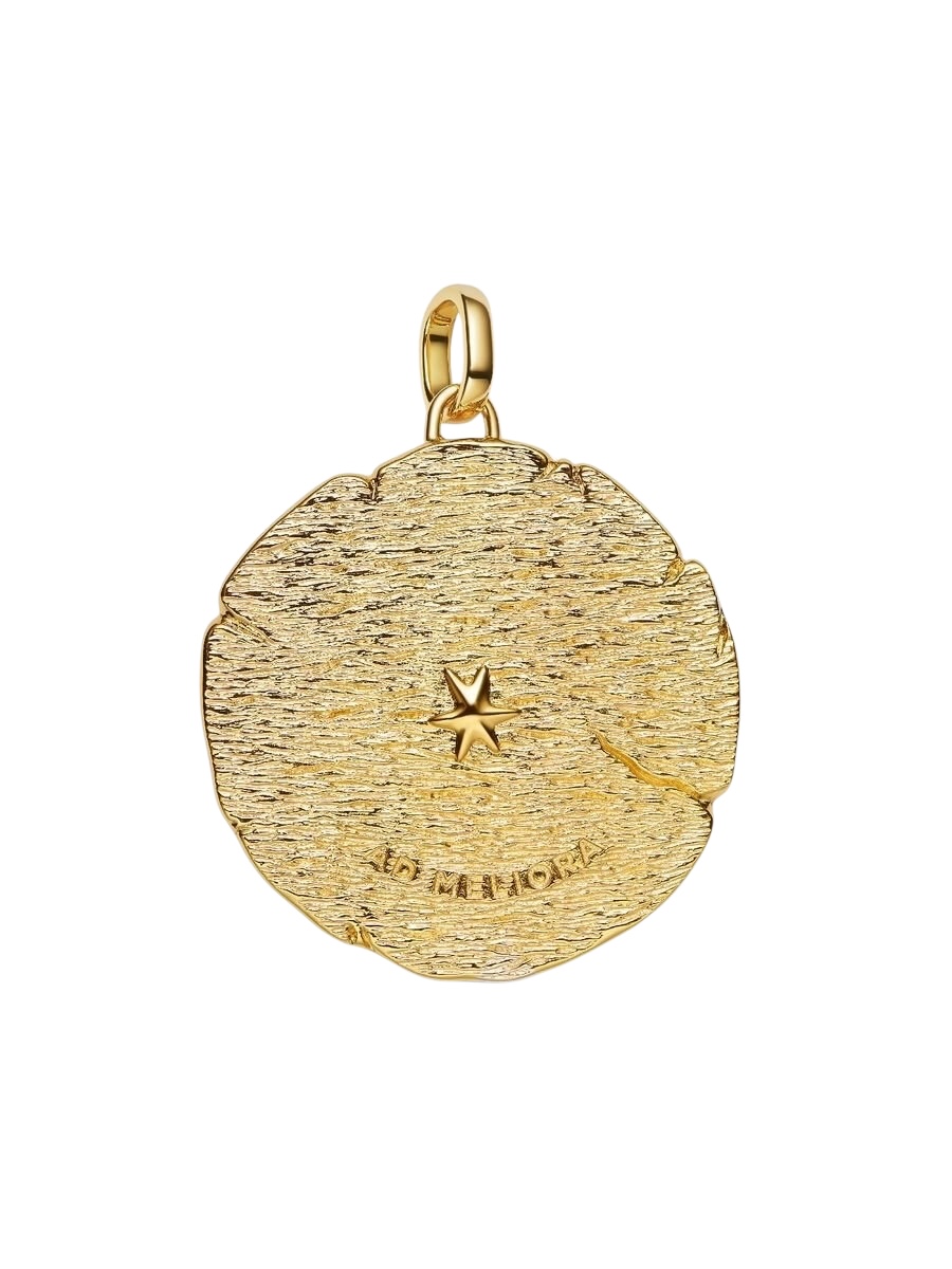 Charm Medallón Grande Flechas Cruzadas Recubrimiento en oro de 14k 764084C01 - Imagen 2