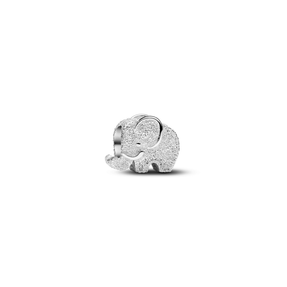 Charm Mini Plata Elefante Textura 794528C00