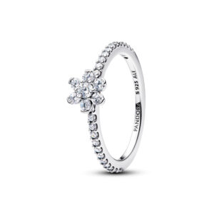 Anillo Flor Brillante Plata de Ley 194499C01