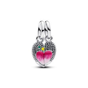 Charm Colgante Divisible Pájaros de Amor 794484C01